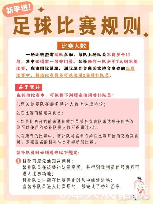 世界杯赛果查询问题解析，比分更新与实时速度说明